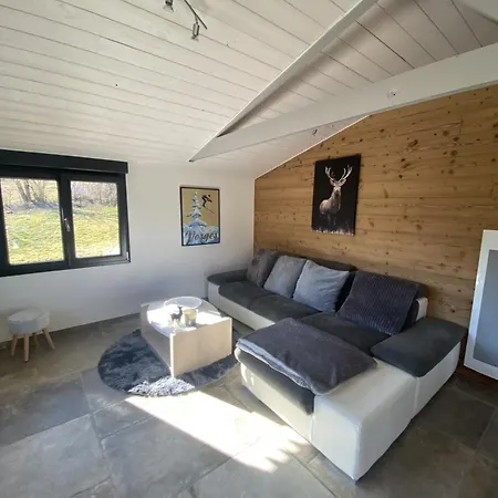Дом отдыха Le Clefcy - Vosges - - Proche Gerardmer