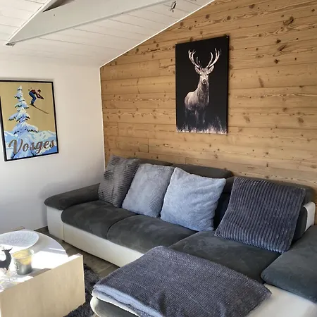 Дом отдыха Le Clefcy - Vosges - - Proche Gerardmer *