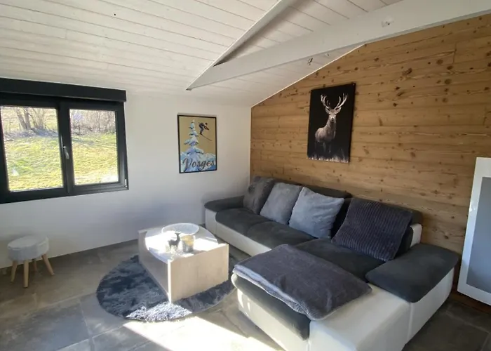 Prázdninový dům Le Clefcy - Vosges - - Proche Gerardmer