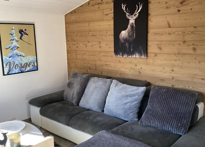 Prázdninový dům Le Clefcy - Vosges - - Proche Gerardmer *